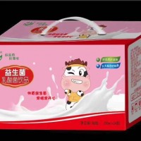 帥盾益生菌乳酸菌飲品